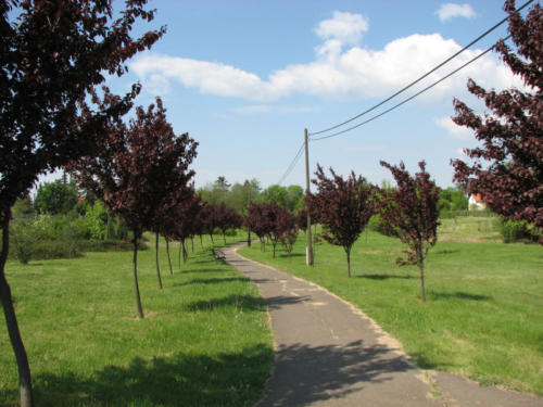 20080504116 20080526 1432802834