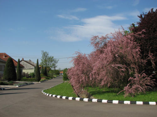 2008050467 20080526 1561849536